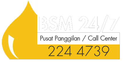 bsm call center